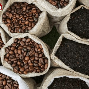 قهوه و اقتصاد